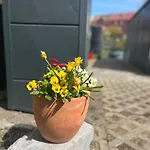 Helene *